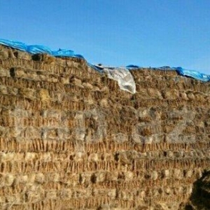 800 yonca presi hamsini alana 4m yarisi 4.3
200 alana 4.5 Nosundan kec