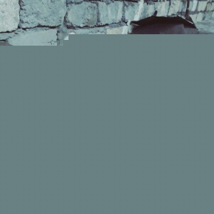 xaski bala diwi 2 aylig.tam saglam.