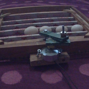 Inkubator ucun yumurta ceviren, 30 toyuq yumurtasi tutur. Olculeri