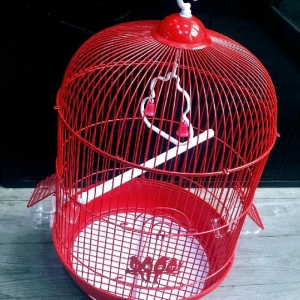 Teze iri qefes satilir. Urek acan rengi var . Su q