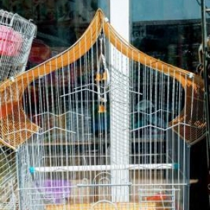 Iri qefes satilir. Su qabi , yem qabi,   papuqay  