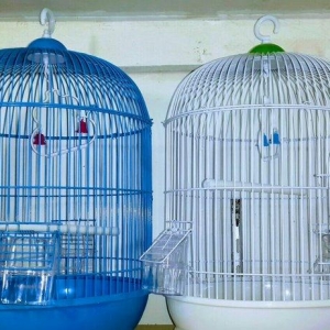 Teze boyuk qefes satilir goy qirmizi ve ag rengleri var her bir aksesu