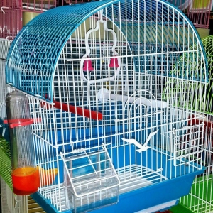 Diger elanlar ucun whatsap ve ya instaqram seyfemi