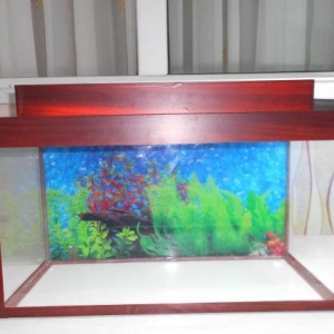 Teze akvarium  uzunu  50 sm hundurluyu qapaqla 39sm eni 20 sm