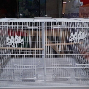 Quslarcun ortadan imi hisseye ayrilan teze qefes b