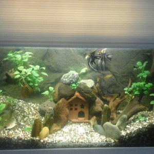 Akvarium yigiram ozum wexsi istenilen olcude istenilen formada qiymet