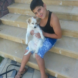 4 ayliqdir dislemir peyvendi teze vurulub novu zvanokdur disidir tecil