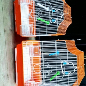 teze qefesler satilir. Cox gozeldirler rengleri var 15-23 manatdir qi