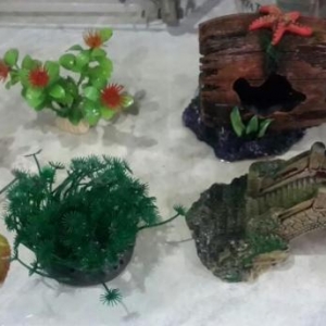 Akvarium 85sm eni 26sm. Icindeki aksesuarlar var. 