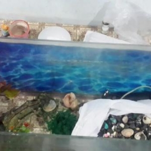 Akvarium 85sm eni 26sm. Icindeki aksesuarlar var. Hava temizliyen ve d