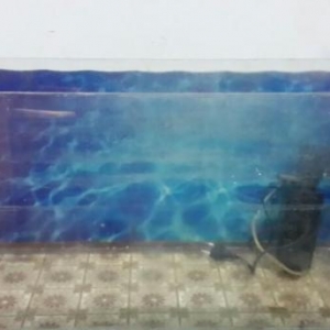 Akvarium 85sm eni 26sm. Icindeki aksesuarlar var. Hava temizliyen ve d