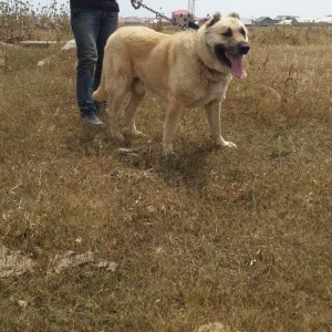 salam.ela meydan itidi adi basardi meydanlarda soz