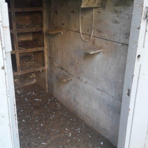 Tecili satilir real aliciya endirim var fikri ciddi wexler narahat ets