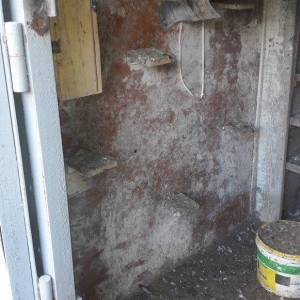 Tecili satilir real aliciya endirim var fikri ciddi wexler narahat ets