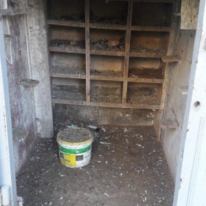 Tecili satilir real aliciya endirim var fikri ciddi wexler narahat ets