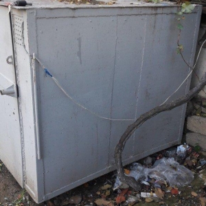 Tecili satilir real aliciya endirim var fikri ciddi wexler narahat ets