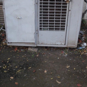 Tecili satilir real aliciya endirim var fikri ciddi wexler narahat ets