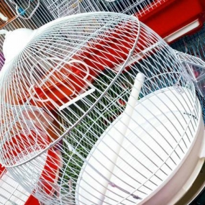 Teze yumru iri  qefes satilir  . Su qabi,Yem qabi, durmasi ucun cubuq+