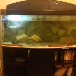 akvarium satilir qabah wuwesi avaldi ekran deilir altinda mermer mebel