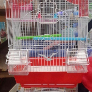 Quwlar ucun Teze qefesler. Istediyiniz mehsulu Zoo