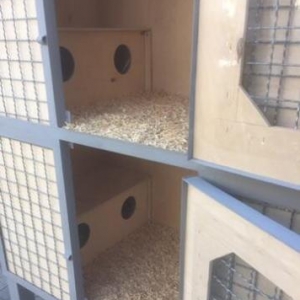 Qәfәs eni-0,75 sm. uzunluğu-1,50 sm. hündürlüyü-1,85 sm. havalandırma.