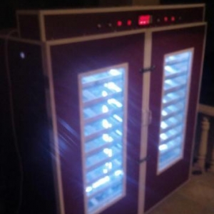 5000 toyuq yumurtasi tutumlu tam avtomatik Inkubator. merkezlesmis bey