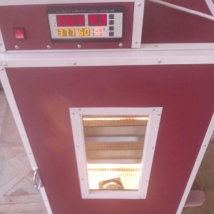 400 toyuq yumurta tutumlu tam avtomatik merkezlesmis beyinden idare ol