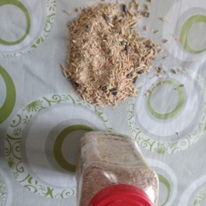 Dovşan, Dəniz donuzu (marskoy svinka), dağ siçanı (xamyak) və başaqa g