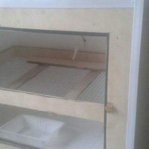 inqibator satılır 150 yumurta tutur  qiyməti 135 azn  yumurtaların cev