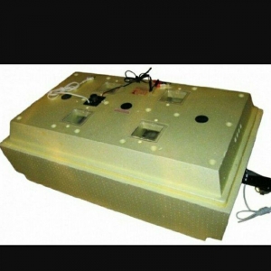 inkibator. yüngül təmirə ehtiyacı var. təcil