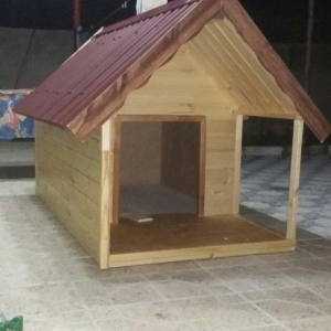 it ucun yuva ico izalasiya olunub laklanib su buraxmir. boyuk itler uc