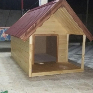 it ucun yuva ico izalasiya olunub laklanib su buraxmir. boyuk itler uc