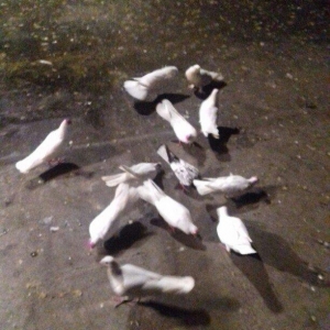 16 17 18 tukler real alici narahat elesi konturu olmaya yazmasin ancaq