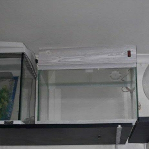 akvariumlar tezedir. ozum yigiram. 1il zemanet ver