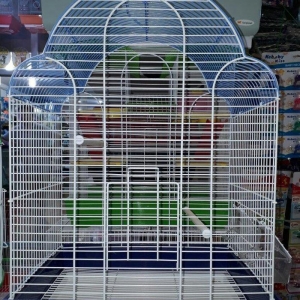 Teze iri karella qefesi satilir her bir aksesuari ustunde verilir zool