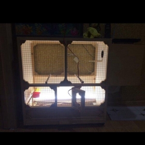 Qefes tecili satilir altinda tekerli icinde isigi 