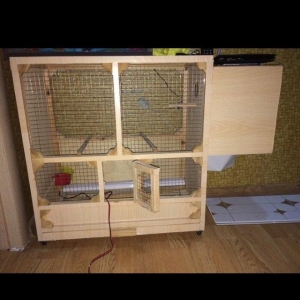 Qefes tecili satilir altinda tekerli icinde isigi var yuva biti**** di