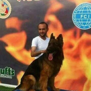 Safqan nemesci afcarka balalari satilir,wekilde at,ana,ve balalarin we