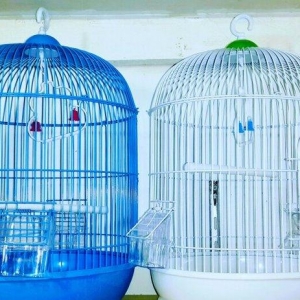 Teze iri gozel gorunuwlu qefesler satilir. Butun h