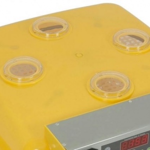 56 yumurtaliq tam avtomatik İnkubator (cücə ç�