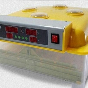 56 yumurtaliq tam avtomatik İnkubator (cücə çıxaran aparat ) tam yen