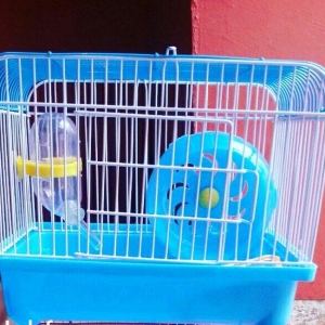 Xamyak ve chunqsrikler ucun qefes satilir tezedir 