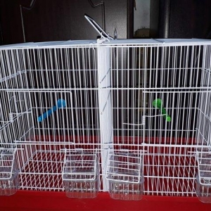 Quslarcun ortadan iki hisseye bolunen teze genks b