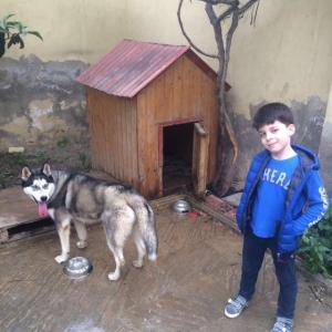 Temiz pasportlu xaski satilir1yas 1ayligdi erkekdiIyneleri vaxti vax