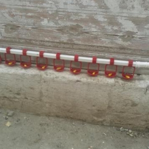 Toyuqlarin, cucelerin rahat su icmesi ucun su memecikleri, ve cawkalar