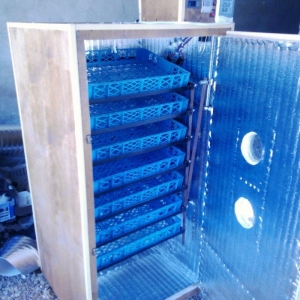 inkubator yigilir, tam avtomatik is rejimine malikdir. her bir sey avt