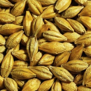 Topdan yem alırıq

sumqayıtda yeni açılacaq y