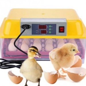 32 yumurtalıq tam avtomatik İnkubator (cücə çıxaran aparat ) tam yen