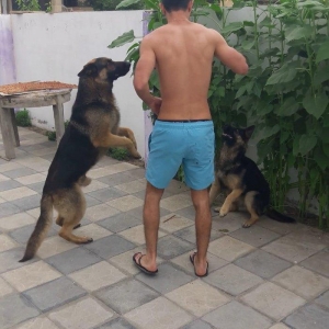 Dostlar afcarka balasi var isdeyen muraciyet ede biler. Su wekildekile