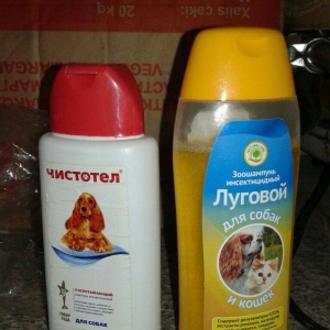 TƏcİlİ satİlİr. Pikines-dir tam sağlamdır herbir peyvəndi vurulub 2-3